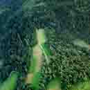 Lasy - zdjęcie lotnicze 06